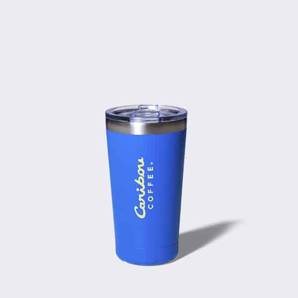 16 ounce blue stainless steel tumbler