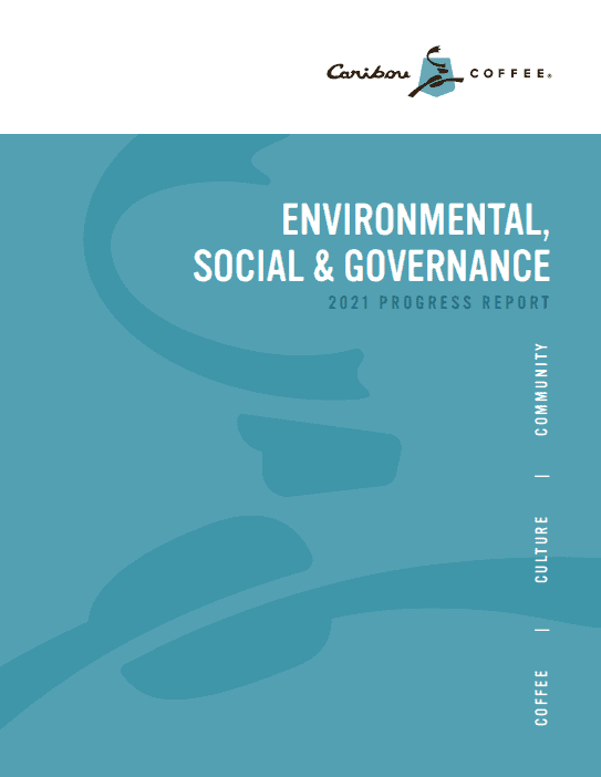 cover of environment, social, and governance report