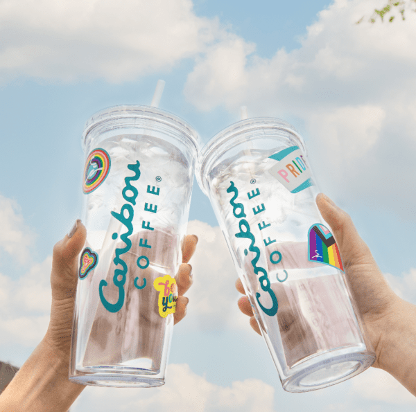Two Pride tumblers cheersing together.
