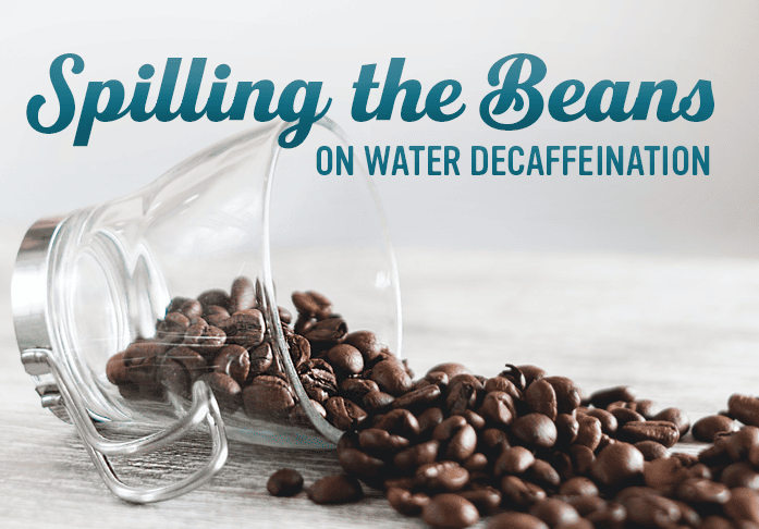 Spilling the beans on water decaffeination
