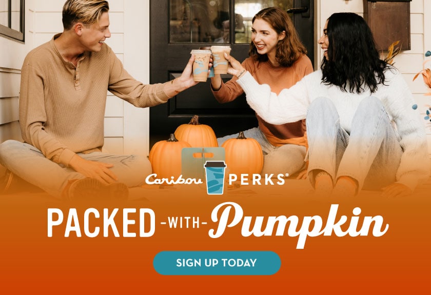 Packed with pumpkin, sign up for Caribou Perks.