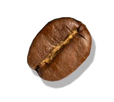 Light roast coffee bean
