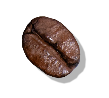 Medium roast coffee bean