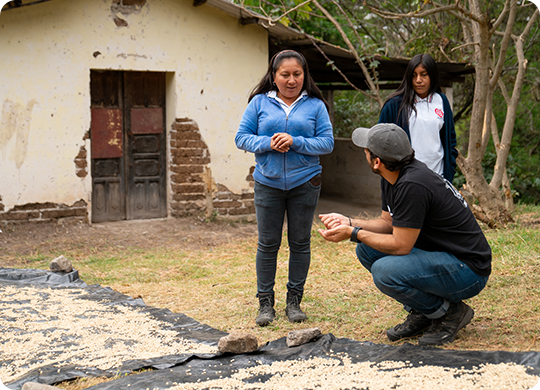 An Enveritas partner talks with coffee farmers