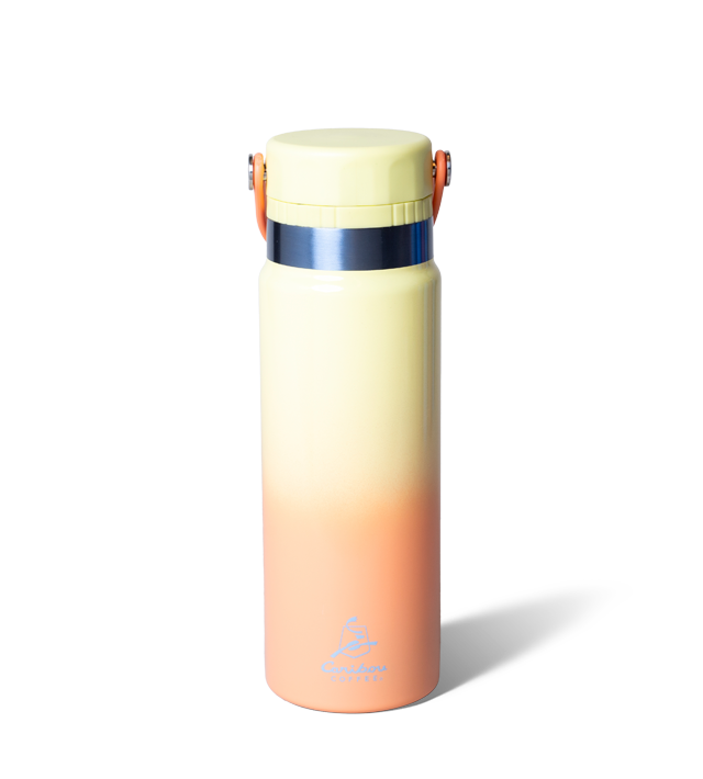 Ombre 24oz Stainless Steel Swing Tumbler - Citron