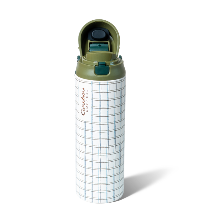 Fall Party 24oz Stainless Steel Multi Sip Hydration Tumbler - Green Plaid