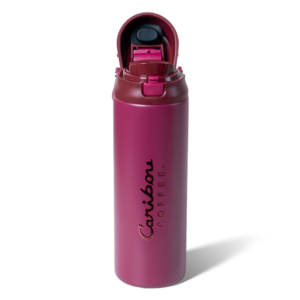 Fall Party 24oz Stainless Steel Multi Sip Hydration Tumbler - Pinot