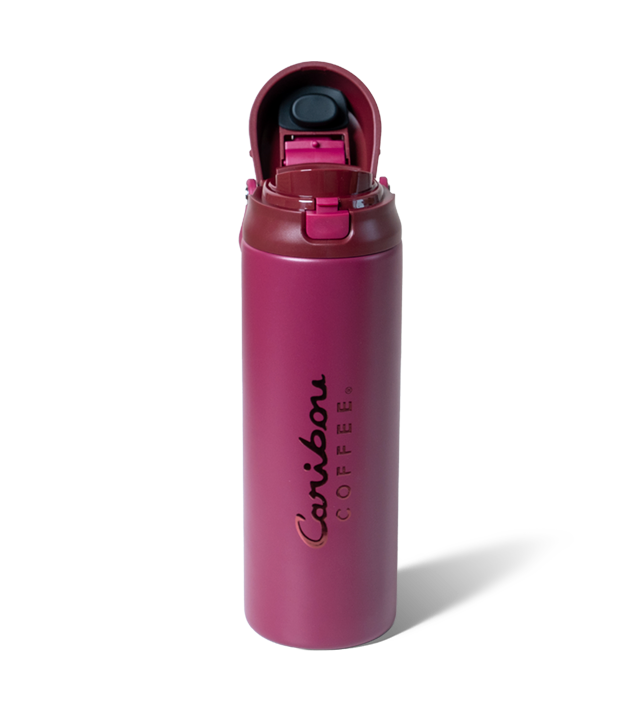 Fall Party 24oz Stainless Steel Multi Sip Hydration Tumbler - Pinot
