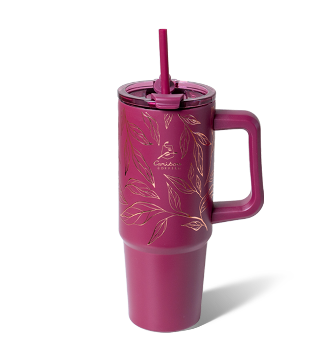 Falling Leaves 30oz Stainless Steel Hot/Cold Handled Tumbler - Pinot