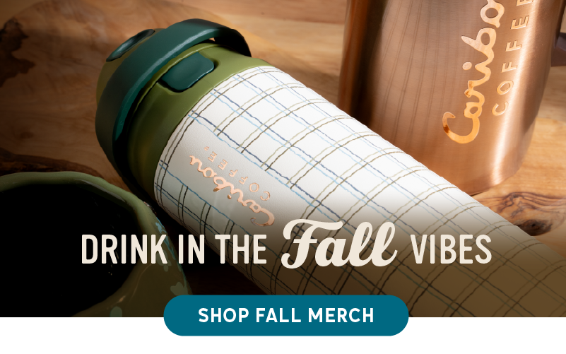 Drink in the fall vibes shop fall merch
